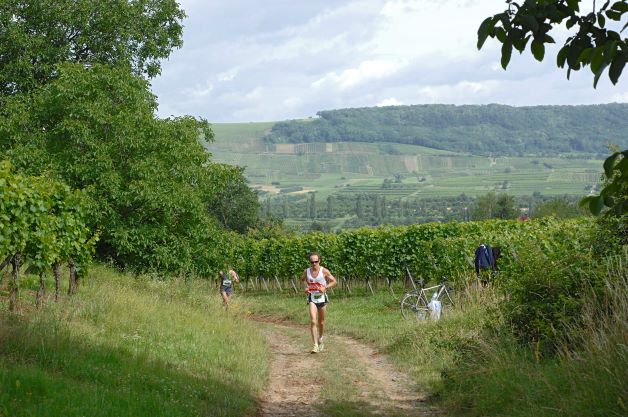 Marathon du Vignoble d’Alsace 2023