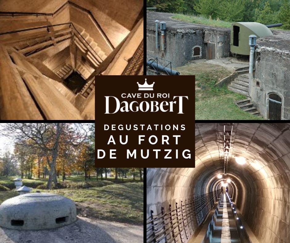 Dégustations de vins au Fort de Mutzig